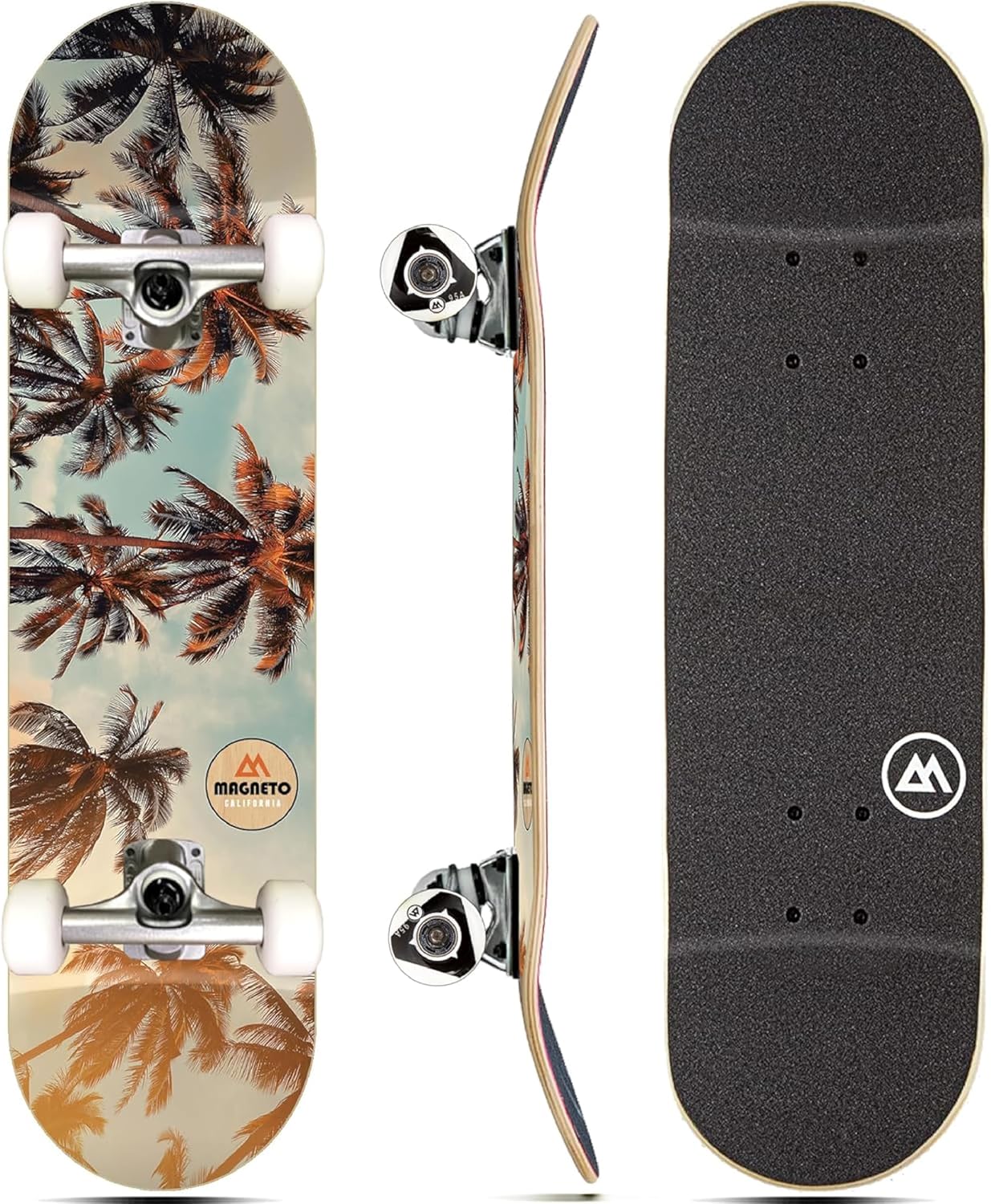 Complete Cruiser Starter Skateboard