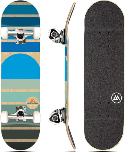 Complete Cruiser Starter Skateboard