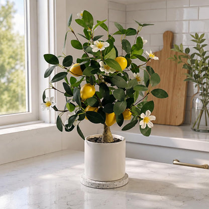 Artificial Lemon Tree Potted 20.5 Inch Fake Lemon Blossoms Tree White Pot | Faux Lemon Plant With 7 Yellow Lemons 13 White Flowers Fake Bonsai Citrus Treefor Custom Tabletop Home Office Kitchen Decor