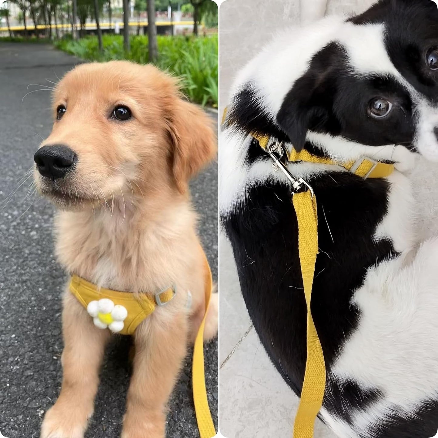 Dog Harness Backpack Cute Small Dog Vest Harness and Leash Set Plaid Soft Mesh Flower Pattern Dog Harness with Adjustable Travel Leash for Puppy Small Tiny Small Medium Dogs (Large, Yellow Flower)