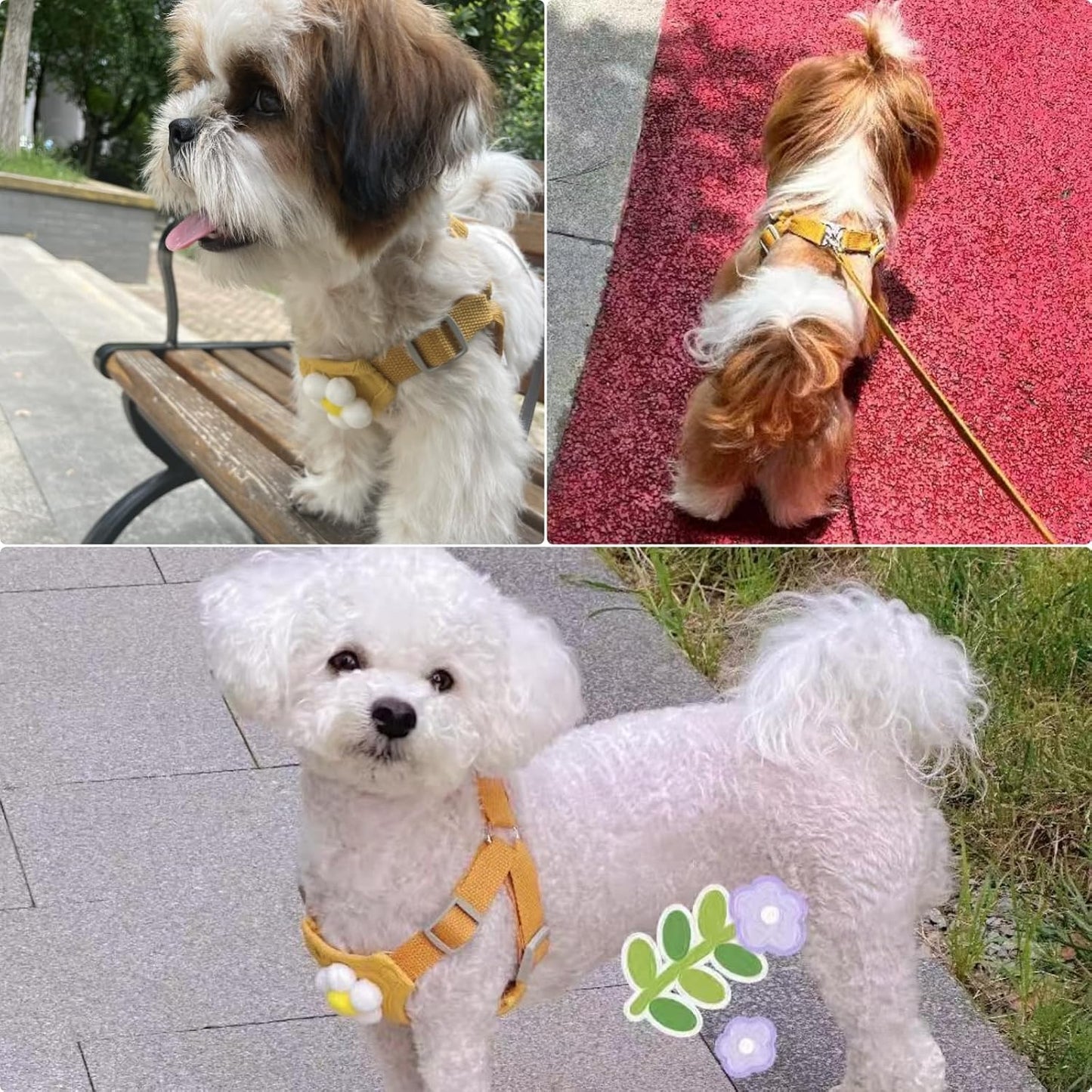 Dog Harness Backpack Cute Small Dog Vest Harness and Leash Set Plaid Soft Mesh Flower Pattern Dog Harness with Adjustable Travel Leash for Puppy Small Tiny Small Medium Dogs (Large, Yellow Flower)