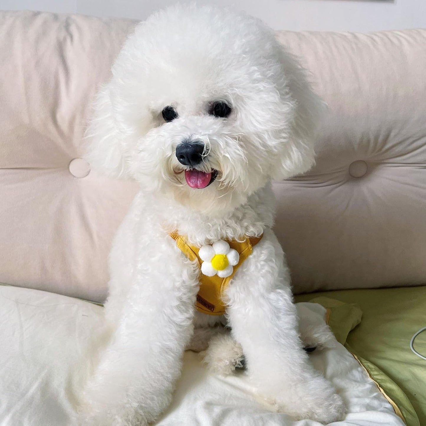 Dog Harness Backpack Cute Small Dog Vest Harness and Leash Set Plaid Soft Mesh Flower Pattern Dog Harness with Adjustable Travel Leash for Puppy Small Tiny Small Medium Dogs (Large, Yellow Flower)