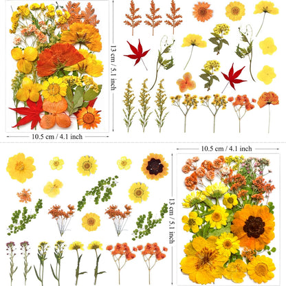 88Pcs Yellow Pressed Dried Flowers for Resin Molds, Real Natural Bulk Dry Floral Leaves for DIY Art Crafts, Epoxy Jewelry, Candle, Soap Making, Nails Decors