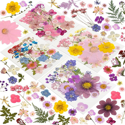 204 Pcs Dried Pressed Flowers for Resin Crafts, Real Natural Pressed Flowers and Leaves Kit Butterfly Stickers Vacuum Sealed Dry Flowers for DIY Epoxy Resin Jewelry Molds, Candle Soap Making, Nail Art