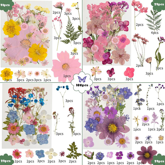 204 Pcs Dried Pressed Flowers for Resin Crafts, Real Natural Pressed Flowers and Leaves Kit Butterfly Stickers Vacuum Sealed Dry Flowers for DIY Epoxy Resin Jewelry Molds, Candle Soap Making, Nail Art