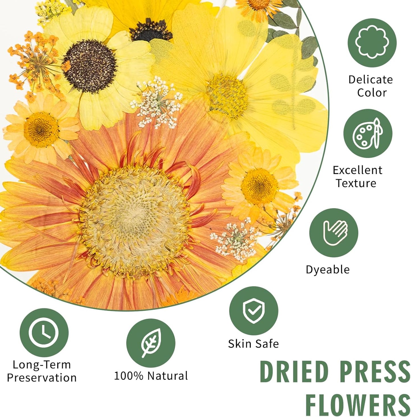204 Pcs Dried Pressed Flowers for Resin Crafts, Real Natural Pressed Flowers and Leaves Kit Butterfly Stickers Vacuum Sealed Dry Flowers for DIY Epoxy Resin Jewelry Molds, Candle Soap Making, Nail Art