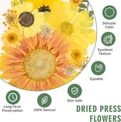 204 Pcs Dried Pressed Flowers for Resin Crafts, Real Natural Pressed Flowers and Leaves Kit Butterfly Stickers Vacuum Sealed Dry Flowers for DIY Epoxy Resin Jewelry Molds, Candle Soap Making, Nail Art