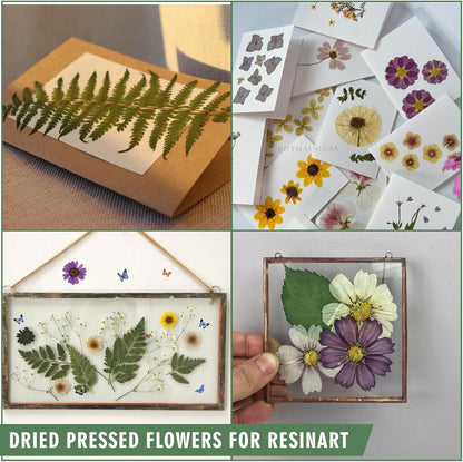 204 Pcs Dried Pressed Flowers for Resin Crafts, Real Natural Pressed Flowers and Leaves Kit Butterfly Stickers Vacuum Sealed Dry Flowers for DIY Epoxy Resin Jewelry Molds, Candle Soap Making, Nail Art