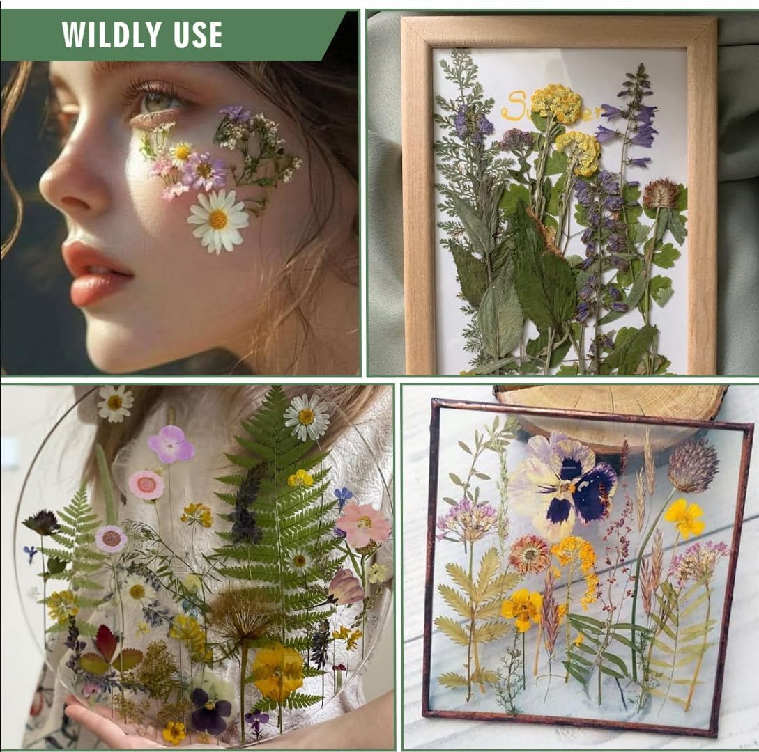 204 Pcs Dried Pressed Flowers for Resin Crafts, Real Natural Pressed Flowers and Leaves Kit Butterfly Stickers Vacuum Sealed Dry Flowers for DIY Epoxy Resin Jewelry Molds, Candle Soap Making, Nail Art