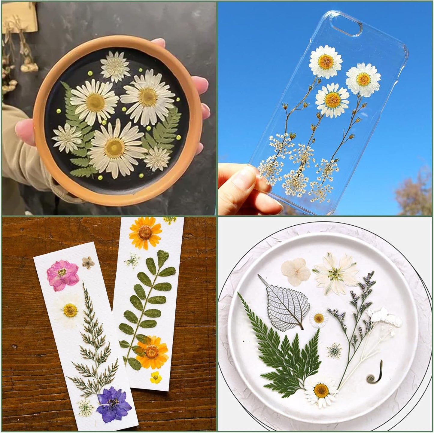 204 Pcs Dried Pressed Flowers for Resin Crafts, Real Natural Pressed Flowers and Leaves Kit Butterfly Stickers Vacuum Sealed Dry Flowers for DIY Epoxy Resin Jewelry Molds, Candle Soap Making, Nail Art