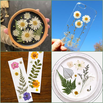 204 Pcs Dried Pressed Flowers for Resin Crafts, Real Natural Pressed Flowers and Leaves Kit Butterfly Stickers Vacuum Sealed Dry Flowers for DIY Epoxy Resin Jewelry Molds, Candle Soap Making, Nail Art