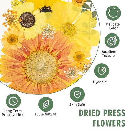 204 Pcs Dried Pressed Flowers for Resin Crafts, Real Natural Pressed Flowers and Leaves Kit Butterfly Stickers Vacuum Sealed Dry Flowers for DIY Epoxy Resin Jewelry Molds, Candle Soap Making, Nail Art