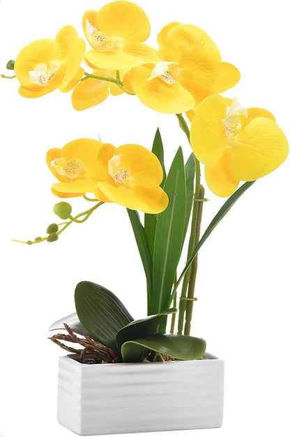 Artificial Real Touch Orchid Flowers with White Ceramic Vase, Yellow | Fake Phalaenopsis Arrangement, for Home Table Office Wedding Party Decoration