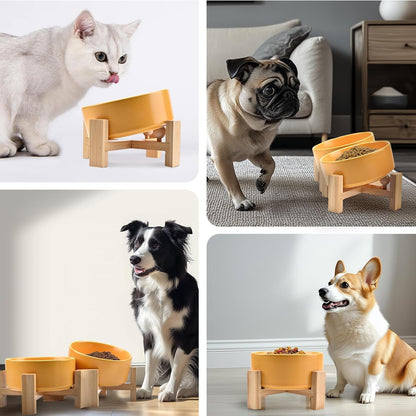 15° Slanted Ceramic Dog and Cat Bowl with Wooden Stand, Tilted Bulldog Food and Water Bowl No Slip Non-Spill for Cats Medium Dogs Big Face Pets 13.5 OZ (1.7 Cups, Yellow × 2)