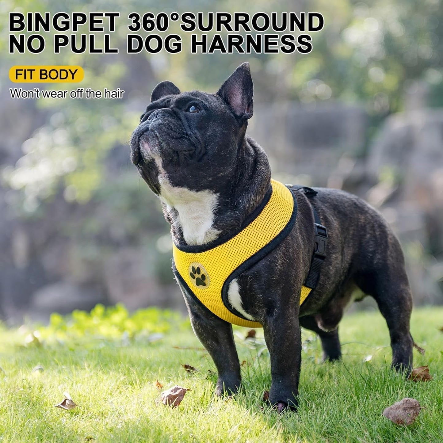 Small Dog Harness, No Pull Step-in Puppy Pet Vest, Yellow | Soft Light Breathable Air Mesh Puppy Harnesses, Easy on,Adjustable for Dogs and Cats,Easy Walking,Running,Training,Medium