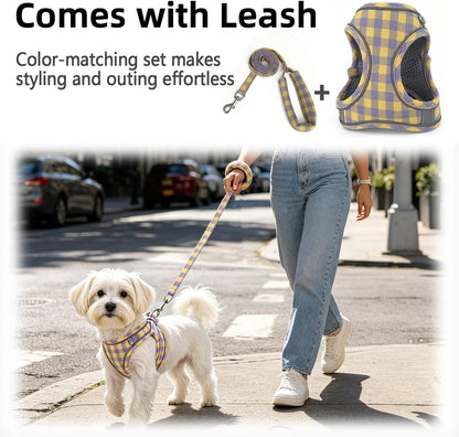 Plaid Dog Harness and Leash Set, Step-in Breathable Mesh Vest Harness for Small Medium Dogs, Reflective No-Pull Pet Harness with Soft Padded Handle for Walking (Purple-Yellow, S)