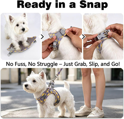 Plaid Dog Harness and Leash Set, Step-in Breathable Mesh Vest Harness for Small Medium Dogs, Reflective No-Pull Pet Harness with Soft Padded Handle for Walking (Purple-Yellow, S)