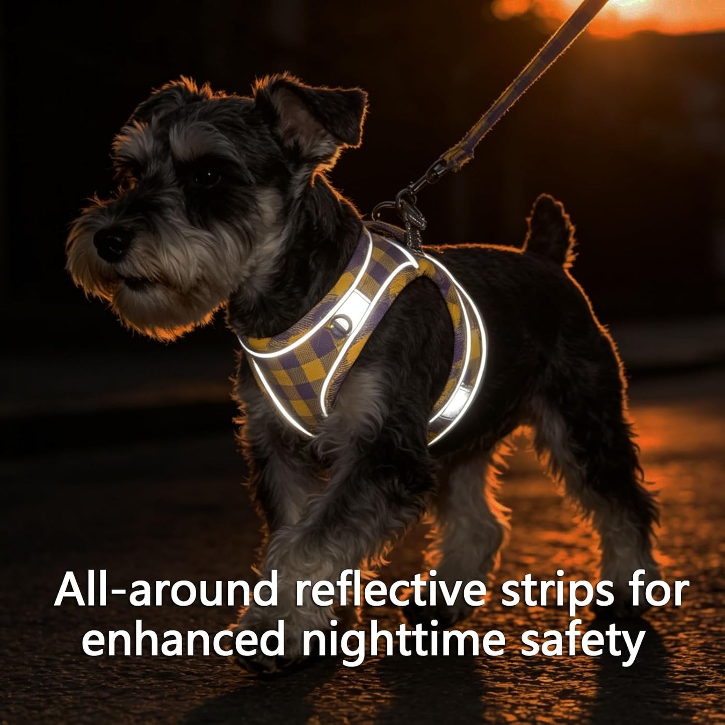 Plaid Dog Harness and Leash Set, Step-in Breathable Mesh Vest Harness for Small Medium Dogs, Reflective No-Pull Pet Harness with Soft Padded Handle for Walking (Purple-Yellow, S)