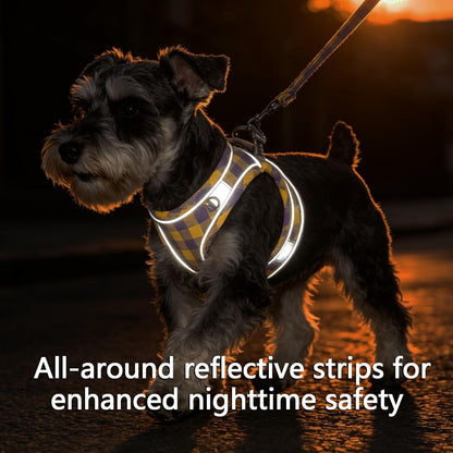 Plaid Dog Harness and Leash Set, Step-in Breathable Mesh Vest Harness for Small Medium Dogs, Reflective No-Pull Pet Harness with Soft Padded Handle for Walking (Purple-Yellow, S)