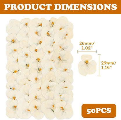 50Pcs Pressed Pansy Violet Flowers Real Dried for Resin Molds, Mixed Dry Flowers for Jewelry Candles Making, Scrapbooking Crafts, DIY Soap, Wedding Decoration Nails Decor (Beige)
