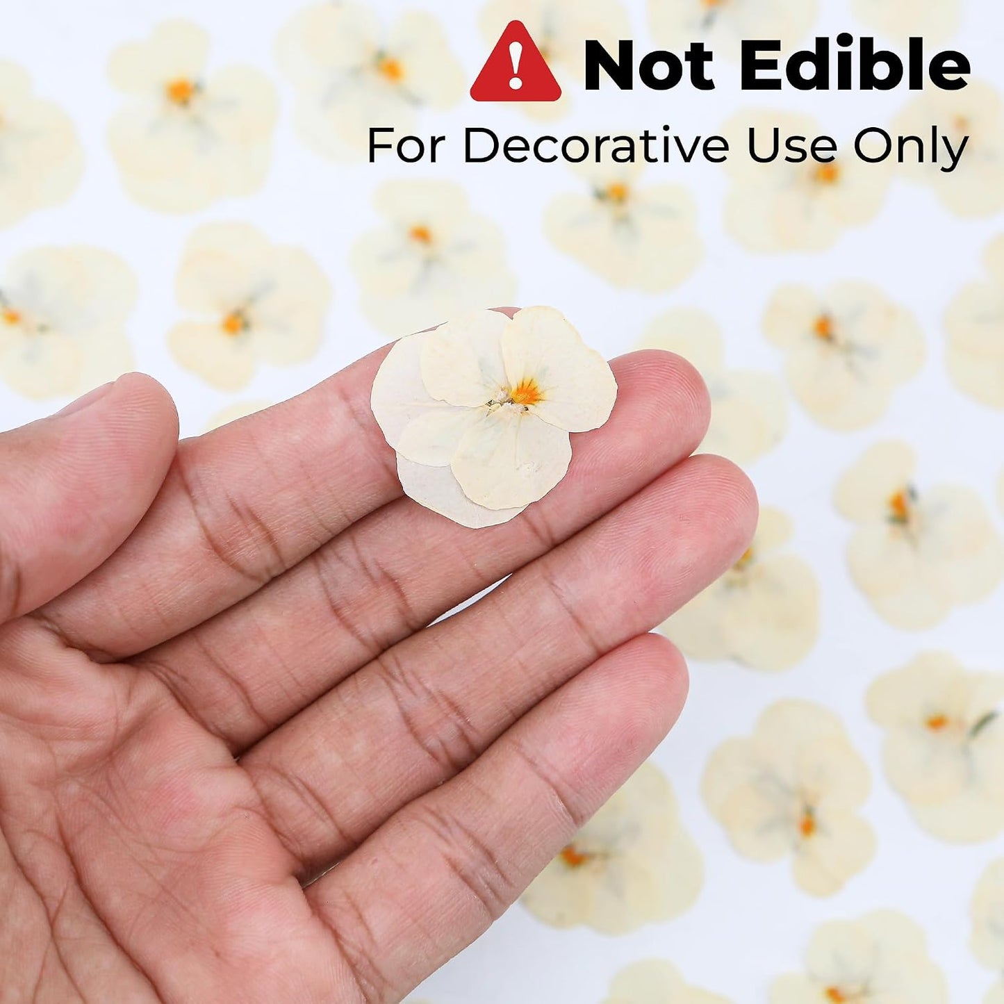50Pcs Pressed Pansy Violet Flowers Real Dried for Resin Molds, Mixed Dry Flowers for Jewelry Candles Making, Scrapbooking Crafts, DIY Soap, Wedding Decoration Nails Decor (Beige)