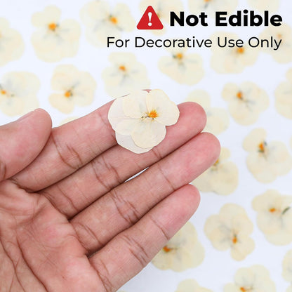 50Pcs Pressed Pansy Violet Flowers Real Dried for Resin Molds, Mixed Dry Flowers for Jewelry Candles Making, Scrapbooking Crafts, DIY Soap, Wedding Decoration Nails Decor (Beige)