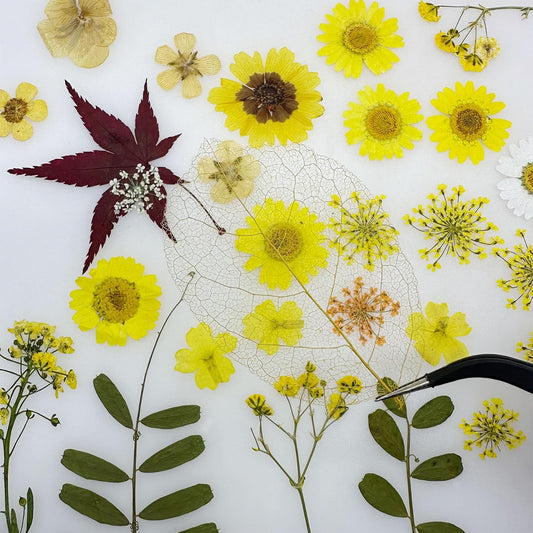 4 Pack Dried Flowers for Resin Molds, 137 Pcs Real Natural Dried Pressed Flowers, Yellow Natural Dried Pressed Leaves for Pressed Leaf Art Craft DIY Embellishment Decorations