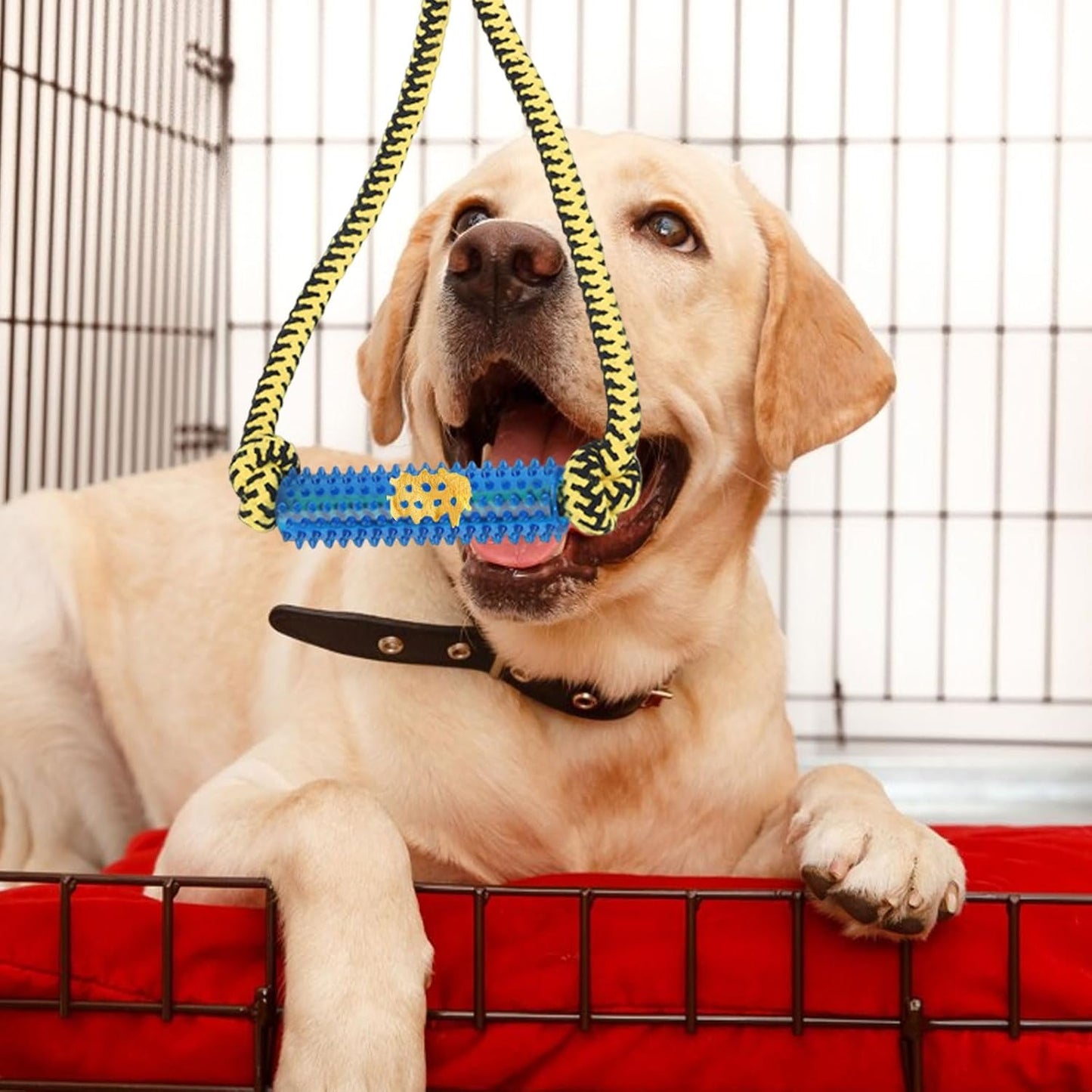 Interactive Dog Toys，Crate Training Aids for Puppies，Yellow | Puppy Teething Toys,Peanut Butter Dog Food Treat Dispenser Toys