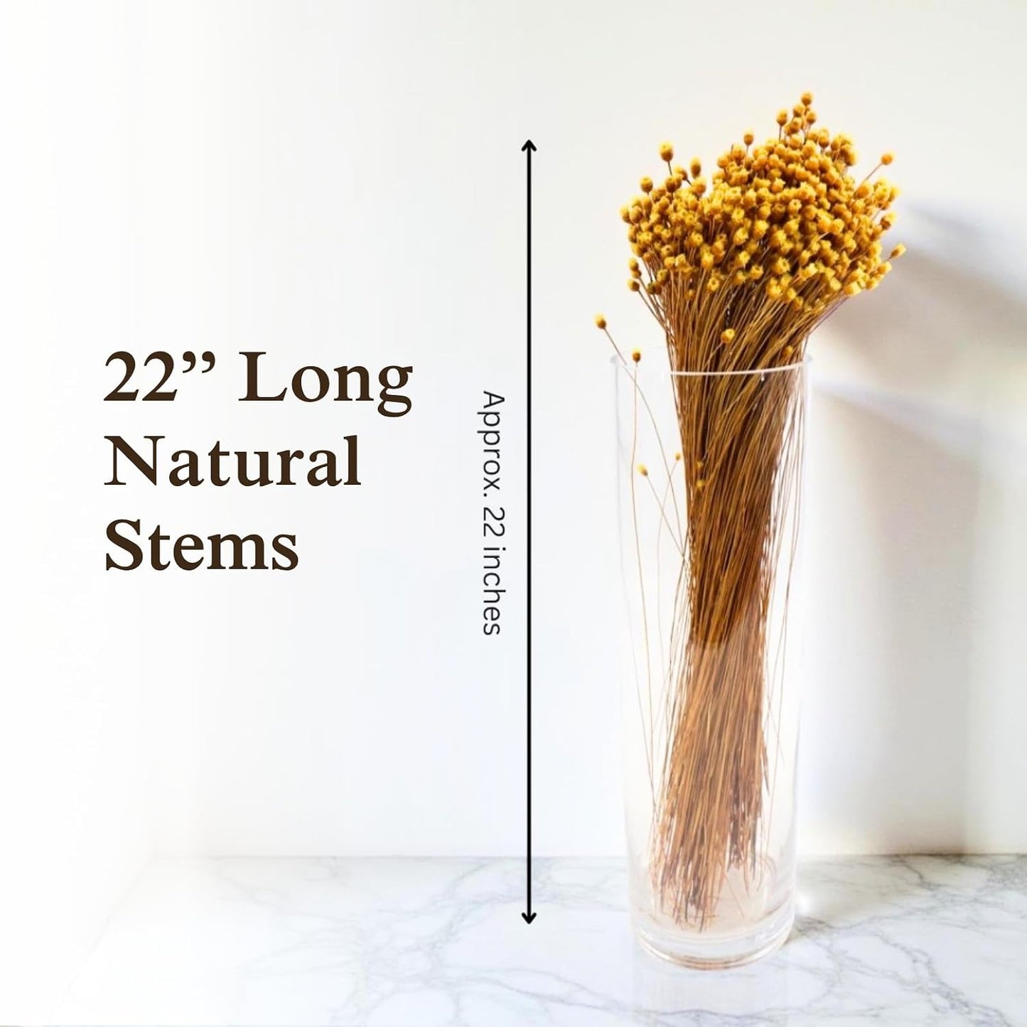 Natural Dried Yellow Happy Flowers, 21" Long | Dried Flowers for Home Decor, Floral Arrangements, Crafts & DIY Projects, Non-toxic, All Natural, Family Owned, USA Made