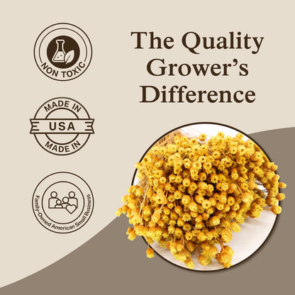 Natural Dried Yellow Happy Flowers, 21" Long | Dried Flowers for Home Decor, Floral Arrangements, Crafts & DIY Projects, Non-toxic, All Natural, Family Owned, USA Made