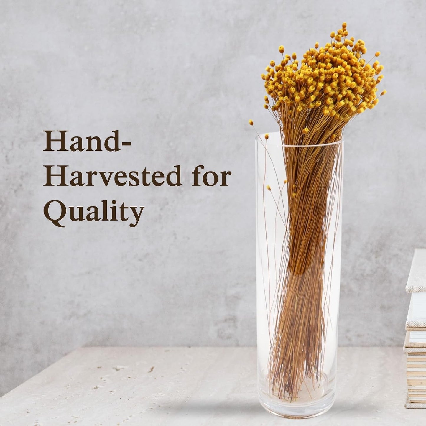 Natural Dried Yellow Happy Flowers, 21" Long | Dried Flowers for Home Decor, Floral Arrangements, Crafts & DIY Projects, Non-toxic, All Natural, Family Owned, USA Made