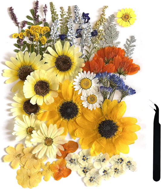 A4 Large Dried Pressed Flowers for Resin - Sunflower, Real Dry Natural Flowers & Leaves for Resin Mold, Cake, Candle Making, Phone Cases, Scrapbooking, DIY Art Crafts (Yellow)