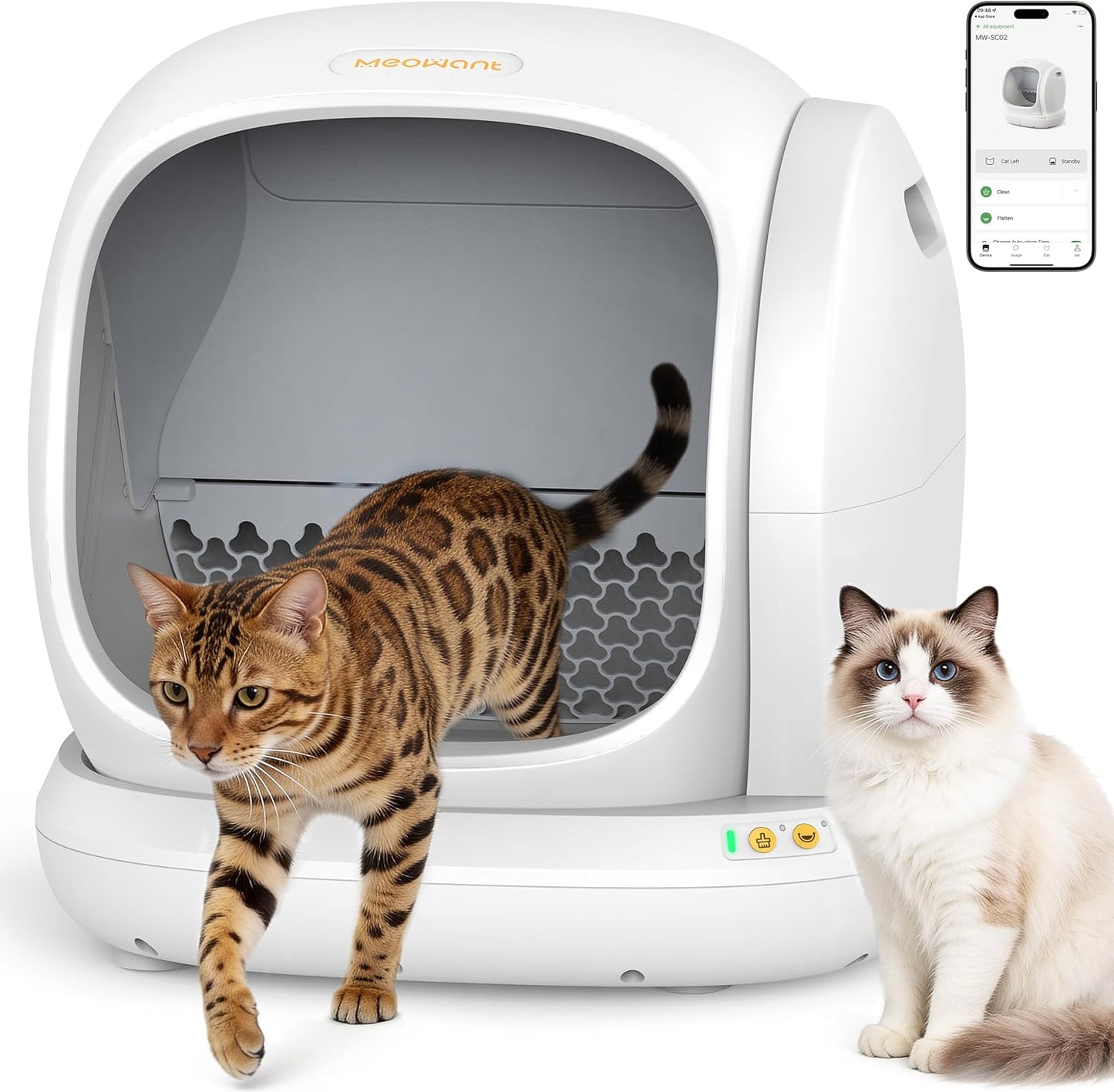 Self Cleaning Cat Litter Box - Open-Top Automatic Litter Box with APP, 0 Risk of Stuck Cats, Safer Automatic Litter Boxs, Low Entrance for Multiple Cats