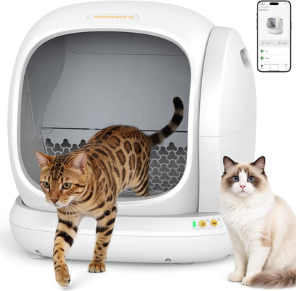 Self Cleaning Cat Litter Box - Open-Top Automatic Litter Box with APP, 0 Risk of Stuck Cats, Safer Automatic Litter Boxs, Low Entrance for Multiple Cats