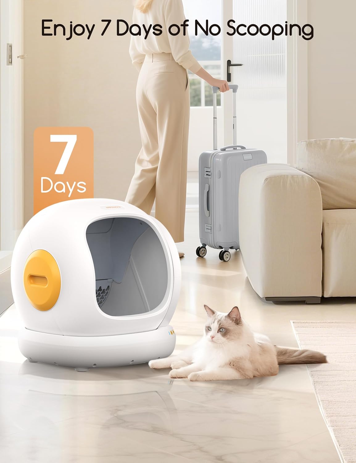 Self Cleaning Cat Litter Box - Open-Top Automatic Litter Box with APP, 0 Risk of Stuck Cats, Safer Automatic Litter Boxs, Low Entrance for Multiple Cats