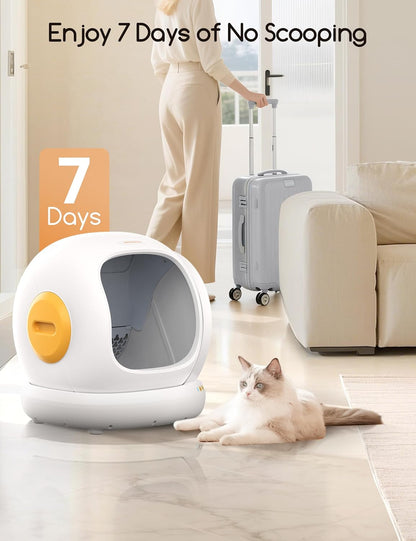Self Cleaning Cat Litter Box - Open-Top Automatic Litter Box with APP, 0 Risk of Stuck Cats, Safer Automatic Litter Boxs, Low Entrance for Multiple Cats