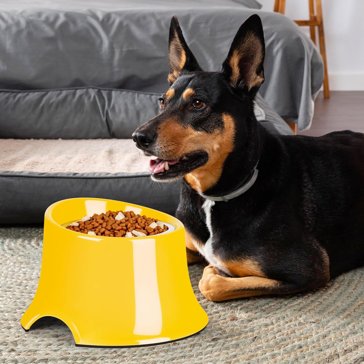 Dog Bowls,Non-Slip with Elevated Dog Bowls, High Capacity Tilted Dog Bowl, Dog Bowls for Small Size Dogs S/1 Cup Yellow