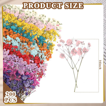 200 Pcs Mini Dried Baby's Breath Flowers Real Natural Resin Pressed Bulk Baby's Breath Flowers Gypsophila Bouquet for Wedding, Card Making, Resin Art, DIY, Bulk, 10 Color