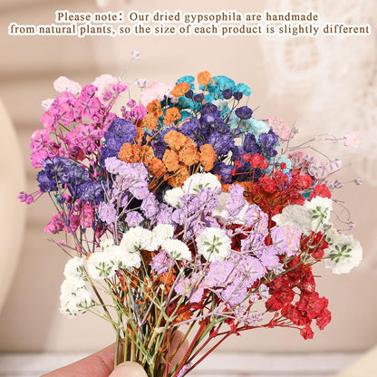 200 Pcs Mini Dried Baby's Breath Flowers Real Natural Resin Pressed Bulk Baby's Breath Flowers Gypsophila Bouquet for Wedding, Card Making, Resin Art, DIY, Bulk, 10 Color