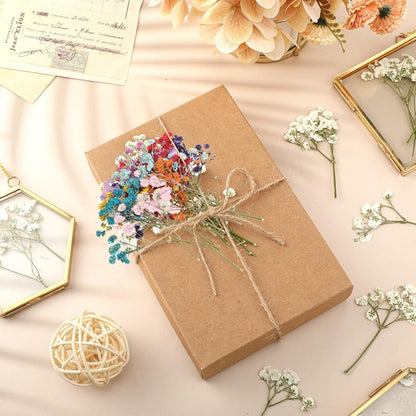 200 Pcs Mini Dried Baby's Breath Flowers Real Natural Resin Pressed Bulk Baby's Breath Flowers Gypsophila Bouquet for Wedding, Card Making, Resin Art, DIY, Bulk, 10 Color