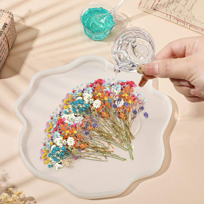 200 Pcs Mini Dried Baby's Breath Flowers Real Natural Resin Pressed Bulk Baby's Breath Flowers Gypsophila Bouquet for Wedding, Card Making, Resin Art, DIY, Bulk, 10 Color