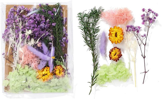 Real Dried Flowers for Crafts, Natural Dry Flowers for Crafts Mixed Natural Pressed Flowers, Small Dried Flowers for Resin Dry Flowers for Candle Making (Purple 1)