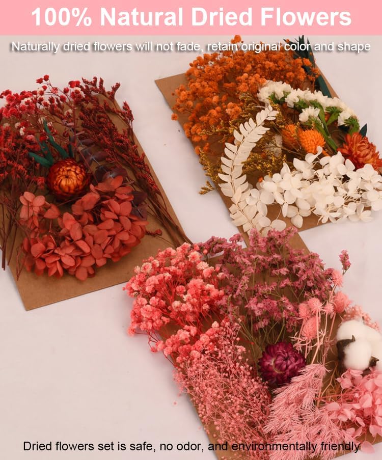 Real Dried Flowers for Crafts, Natural Dry Flowers for Crafts Mixed Natural Pressed Flowers, Small Dried Flowers for Resin Dry Flowers for Candle Making (Purple 1)