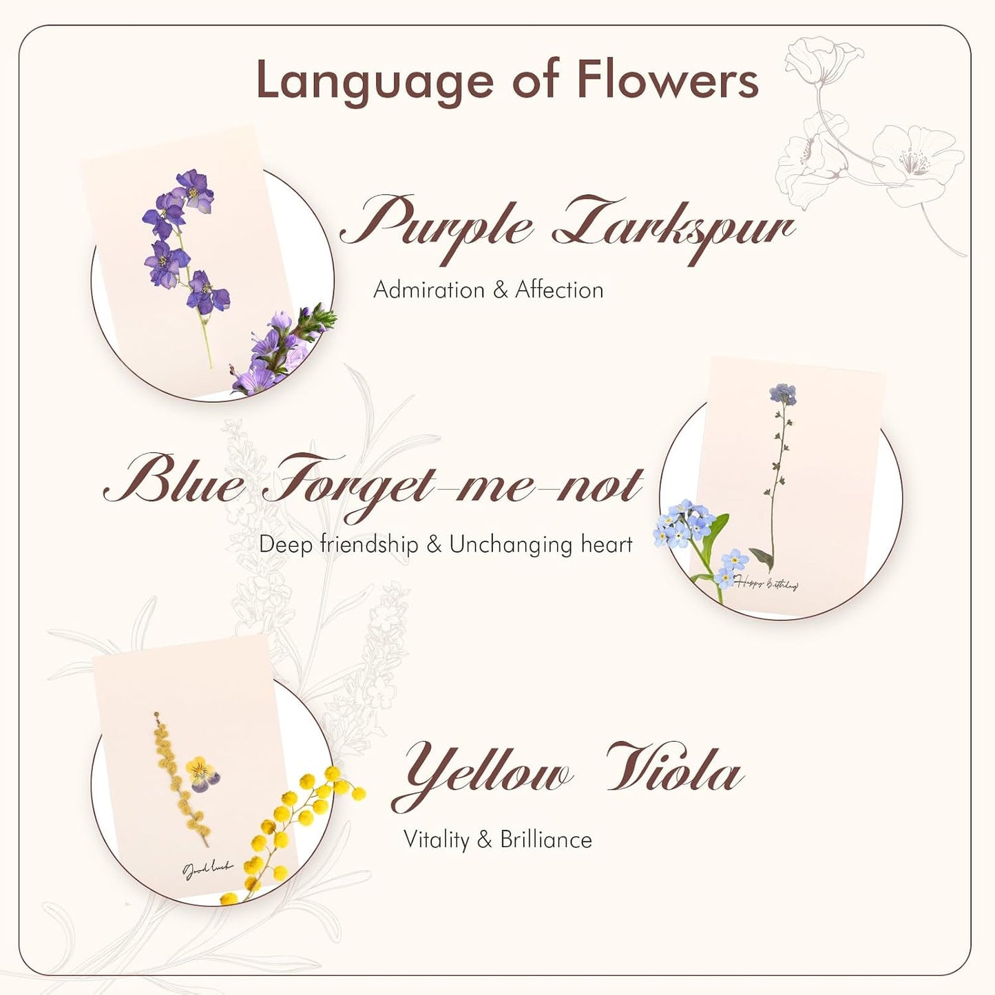 Handmade Pressed Flower Greeting Cards – Real Dried Botanical Art for Birthdays, Weddings, and Thank You Notes – Eco-Friendly Gift for Nature Lovers | larkspur,forget-me-not,viola