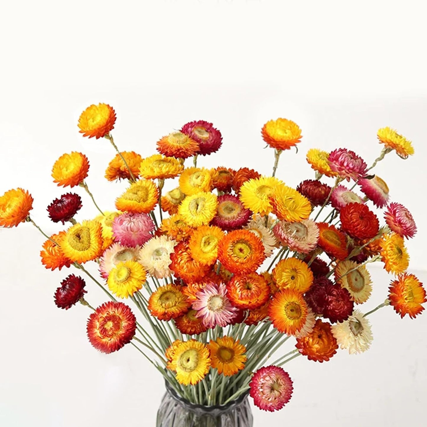 24 Pcs Dried Straw Flowers Daisy, Natural Orange Helichrysum Bouquet | Beautiful dried flowers for floral arrangements, vase filler, wedding décor, farmhouse displays and creative DIY projects.