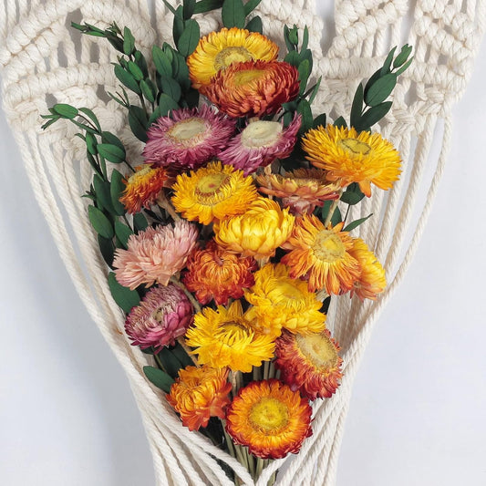 24 Pcs Dried Straw Flowers Daisy, Natural Orange Helichrysum Bouquet | Beautiful dried flowers for floral arrangements, vase filler, wedding décor, farmhouse displays and creative DIY projects.
