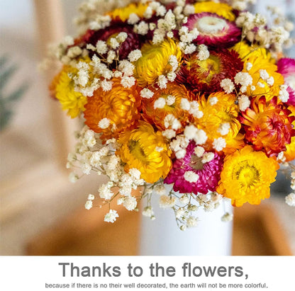 24 Pcs Dried Straw Flowers Daisy, Natural Orange Helichrysum Bouquet | Beautiful dried flowers for floral arrangements, vase filler, wedding décor, farmhouse displays and creative DIY projects.