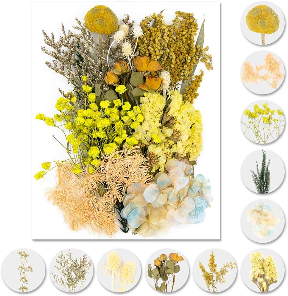 Real Dried Pressed Leaf Flowers-Multiple Colorful Pressed Flowers Daisies for Craft Resin Jewelry Making Art Craft DIY and Soap Candle Scrapbooking DIY Resin（Yellow）
