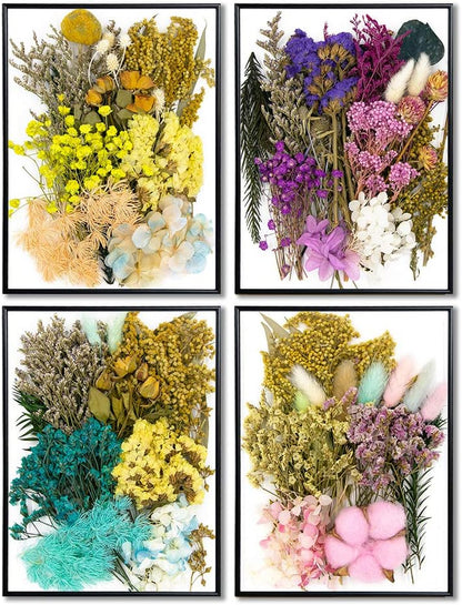 Real Dried Pressed Leaf Flowers-Multiple Colorful Pressed Flowers Daisies for Craft Resin Jewelry Making Art Craft DIY and Soap Candle Scrapbooking DIY Resin（Yellow）