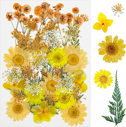 33 PCS Dried Pressed Flowers for Resin, Real Pressed Flowers Dry Leaves Kit Natural Dried Pressed Leaves for Art Crafts Resin Scrapbook Supplies Soap Candle DIY, Yellow